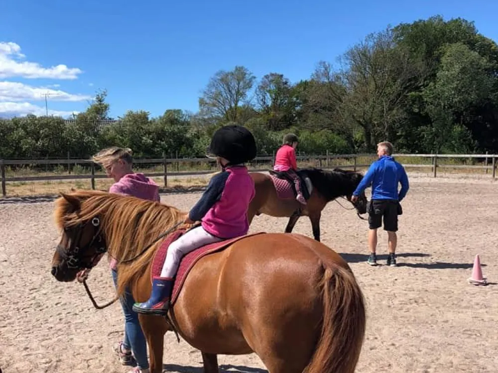 Anni Christina Equestrian - Islandshästridning
