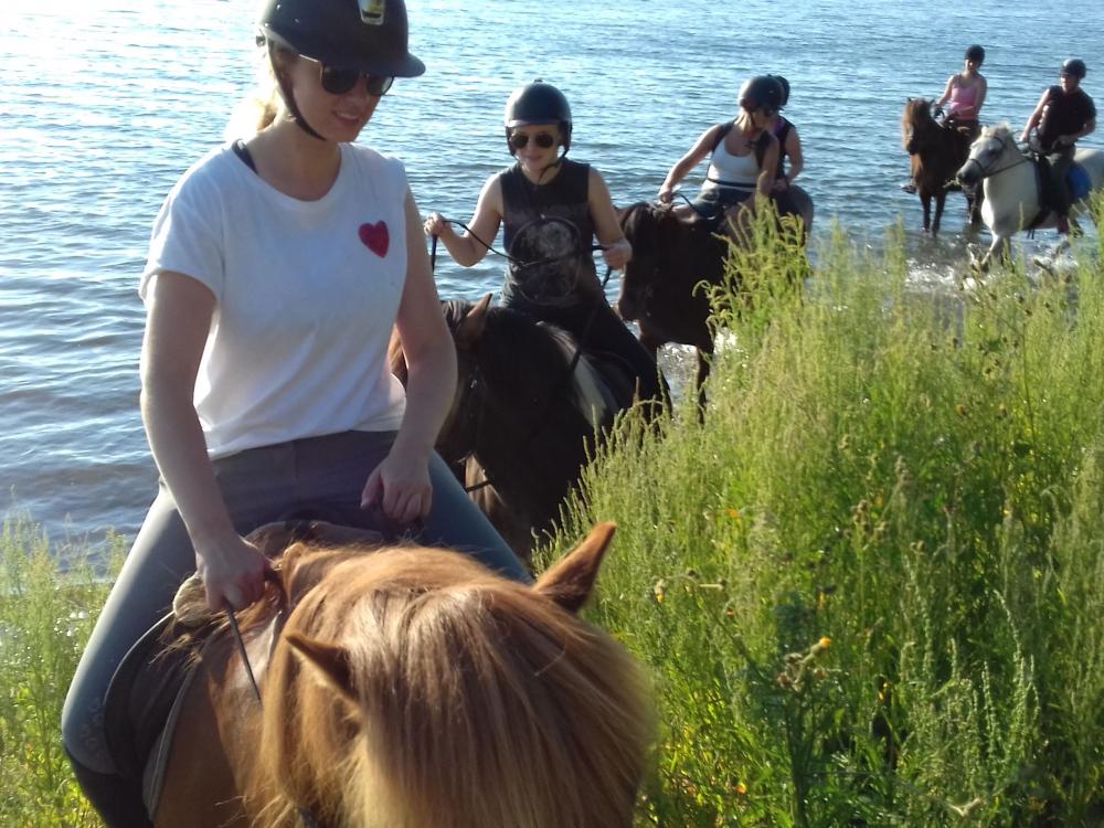 Anni Christina Equestrian - Islandshästridning