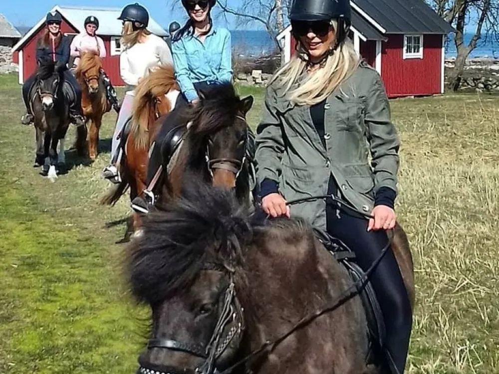 Anni Christina Equestrian - Islandshästridning