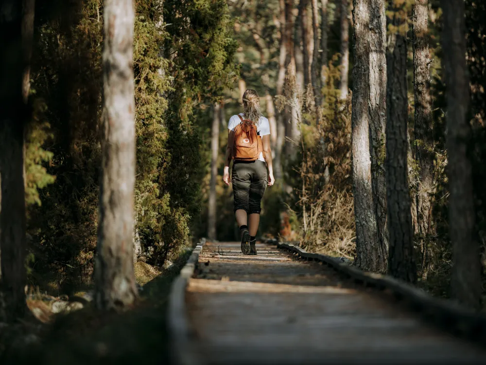 Trollskogens Wanderwege