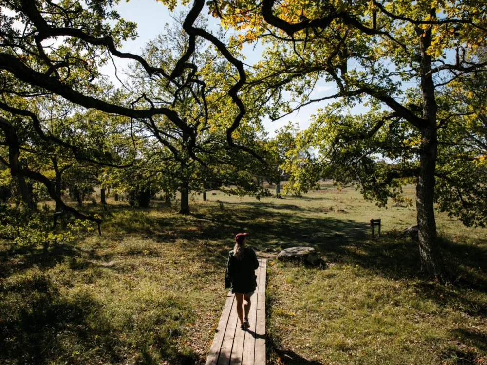 Mittlandsleden - Wanderweg