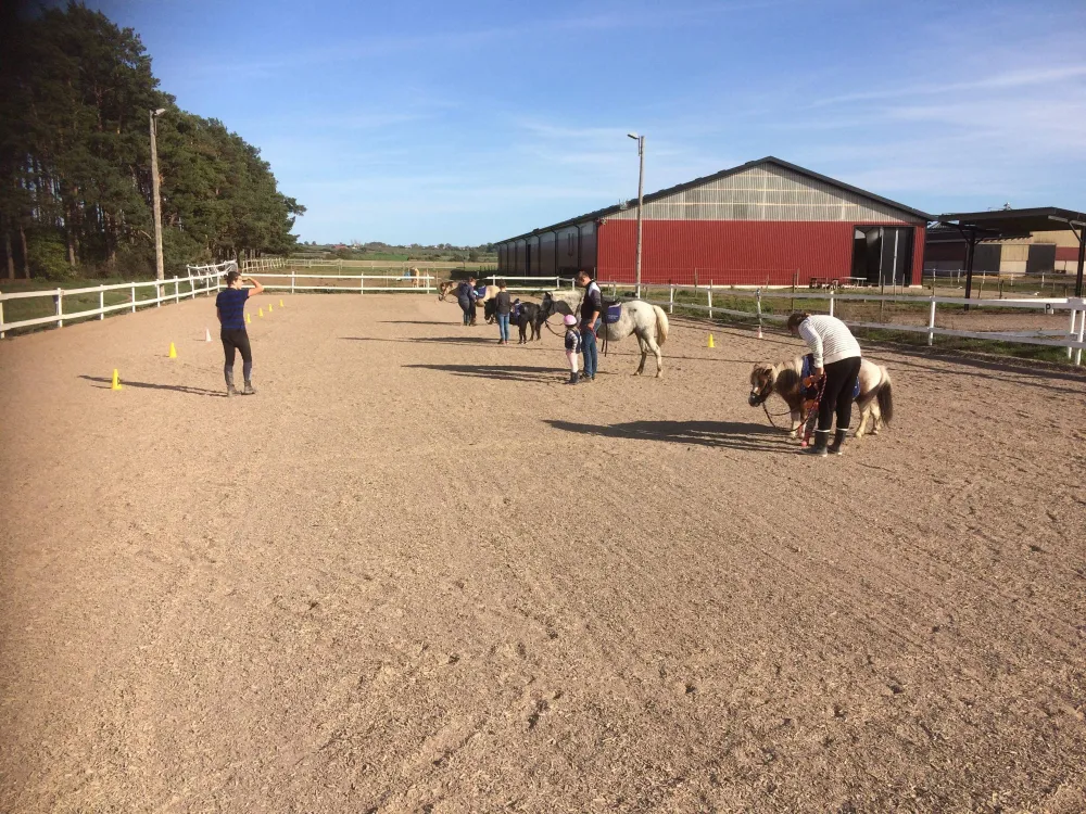 Hälsogården's Riding Center