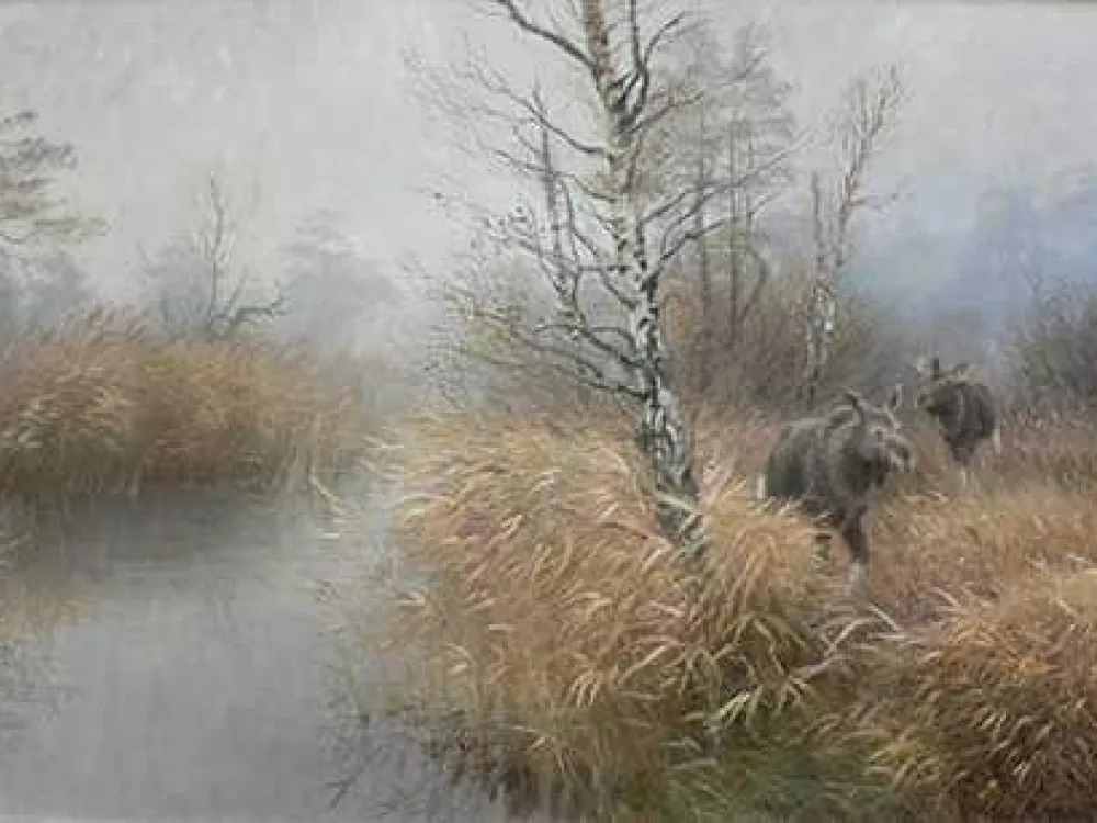 Studio Göran Petersson