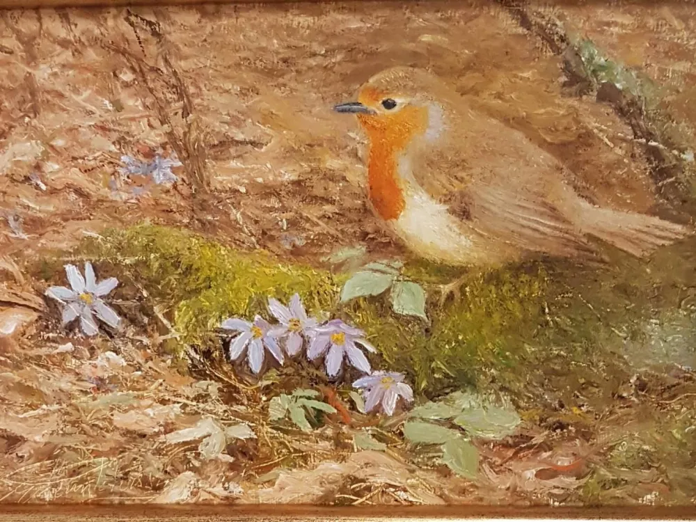 Studio Göran Petersson