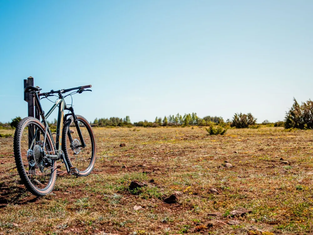 Radtour ins südliche Öland