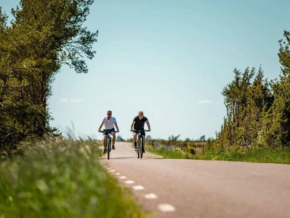 Radtour ins südliche Öland