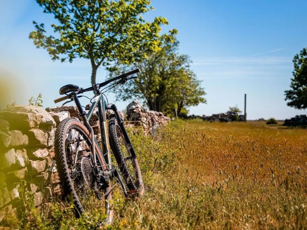 Radtour ins südliche Öland