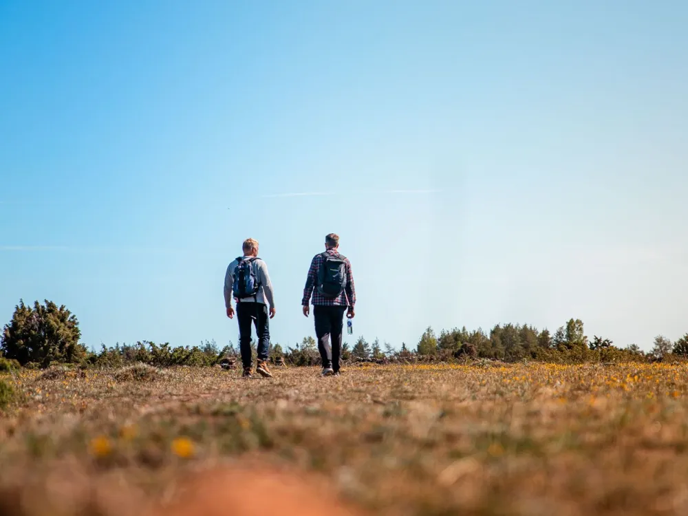 Vandringsresa till Öland och det stora alvaret