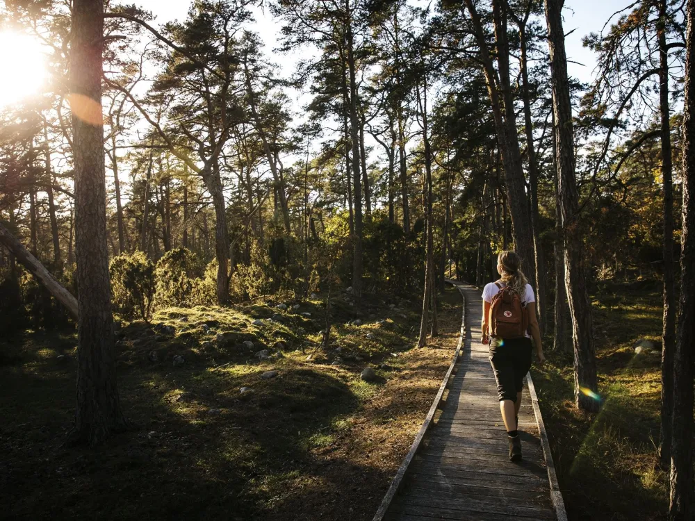 Naturum Trollskogen - Öland's northeastern cape