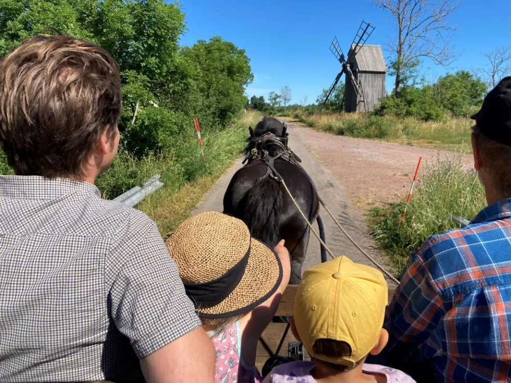 Horse-drawn carriage in Västra Sörby