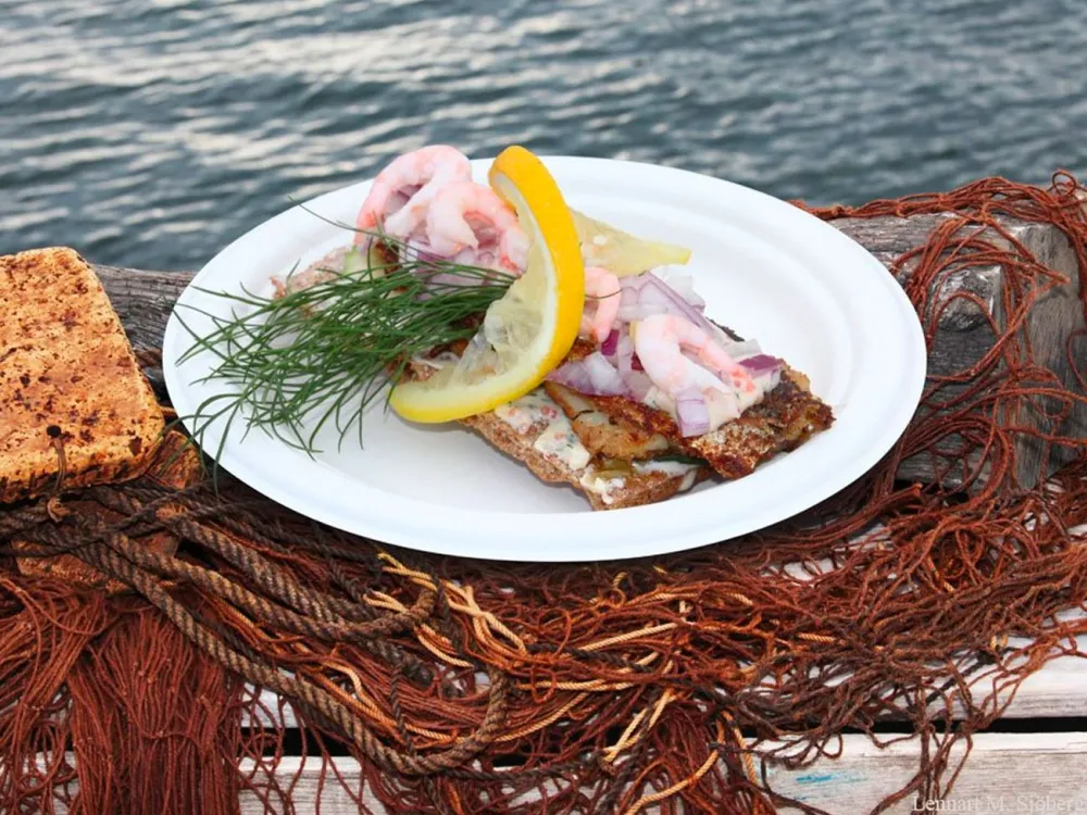 Krokens Salat und Fisch