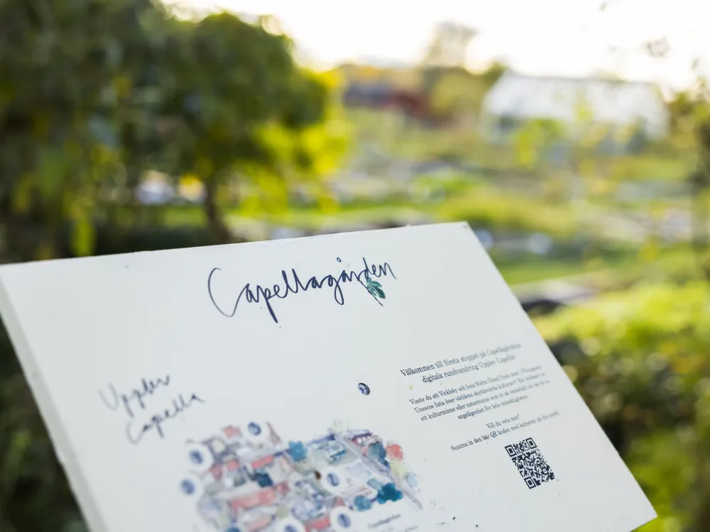 Capellagården - Vickleby