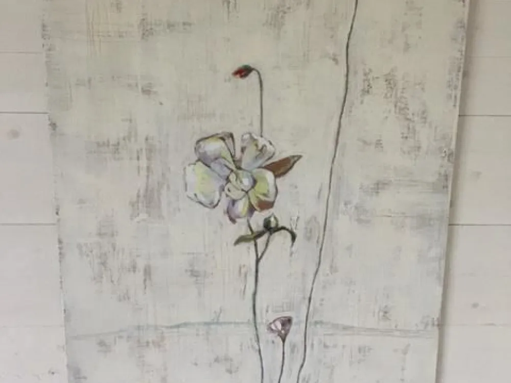 Silvija Boijsen Sinka