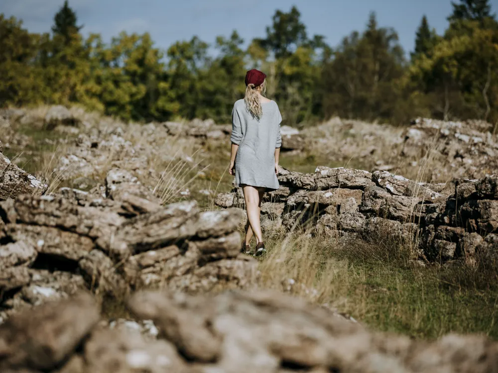 Mittlandsskogen – historisches Erbe und unvergleichlicher Artenreichtum