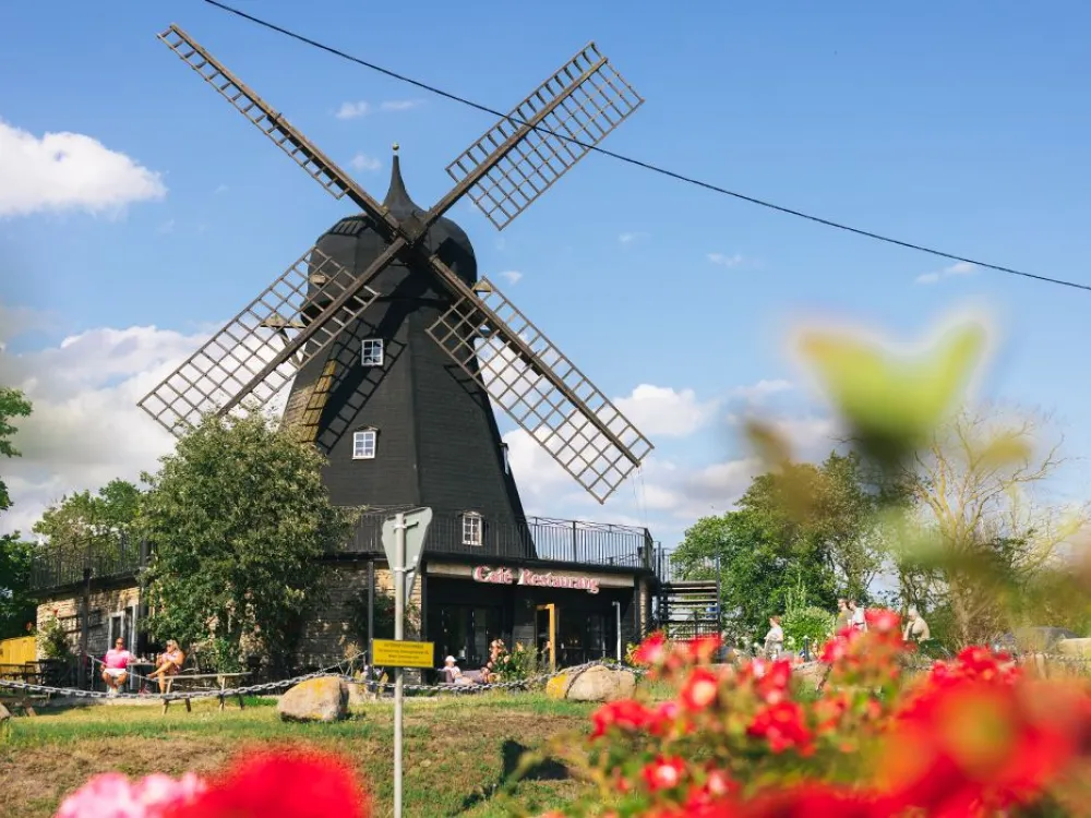 Die Mühle in Grönhögen