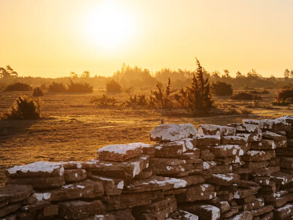 Visit Kalmar Öland - kulturella & kulinariska äventyr