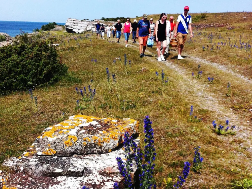 Stenkusten – a food tour in the landscape of the twilight hours