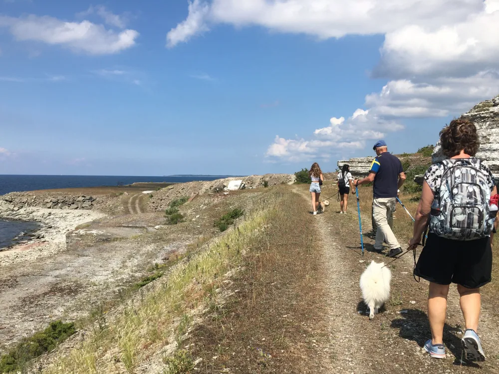 Stenkusten – a food tour in the landscape of the twilight hours