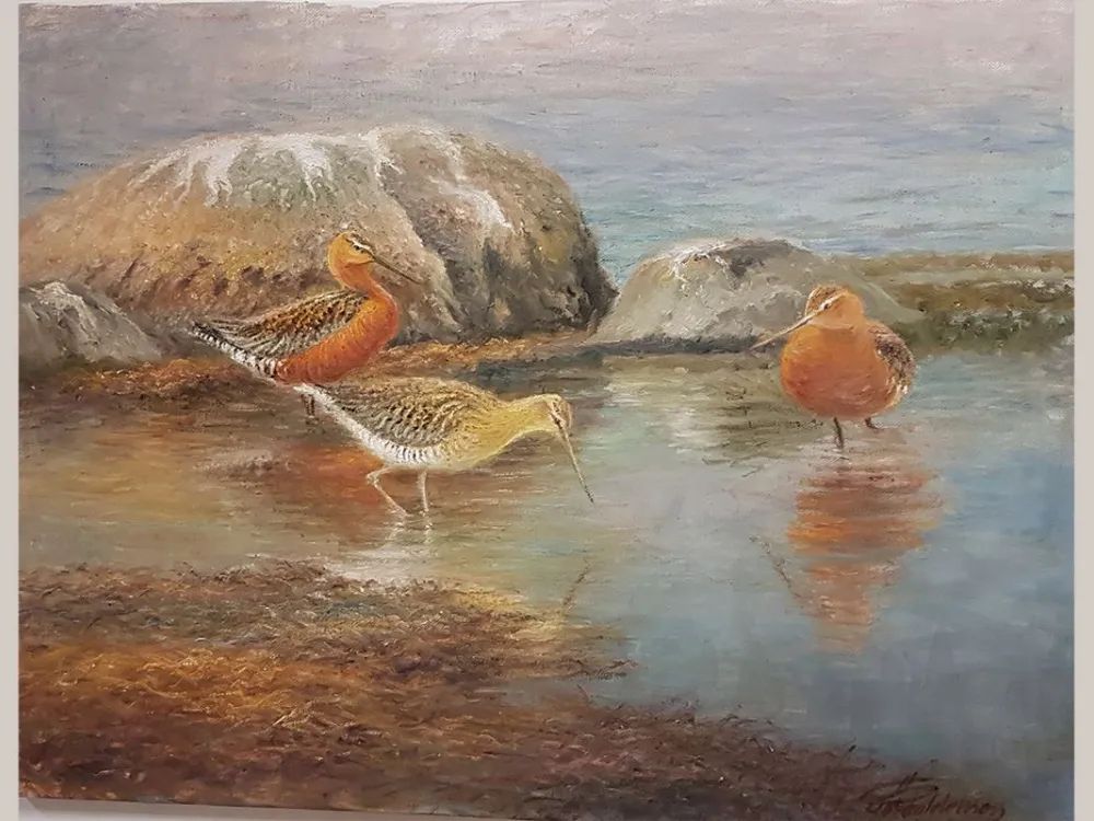 Studio Göran Petersson