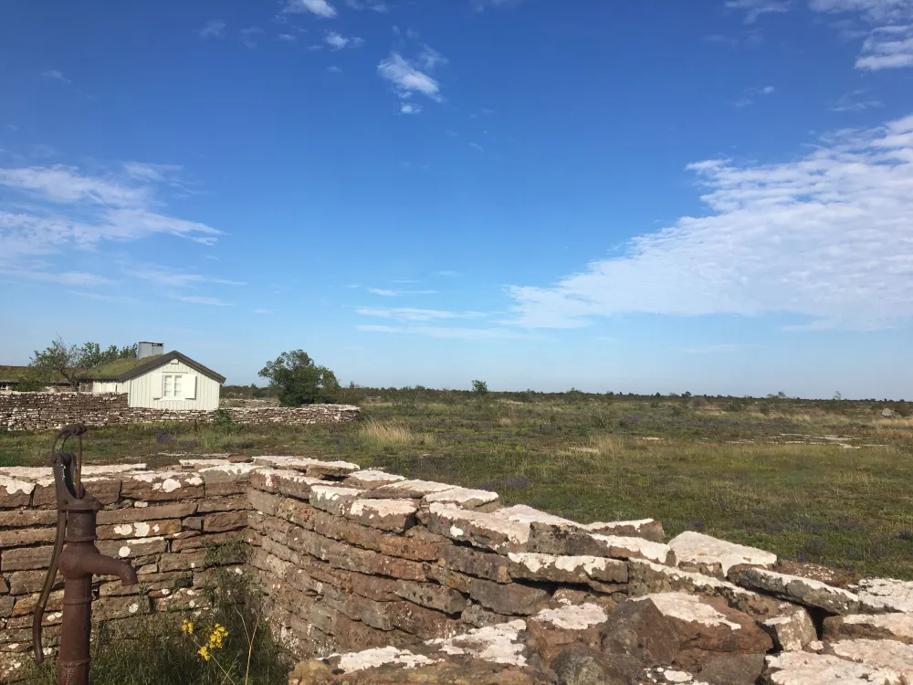Kulinarischer Spaziergang – Probieren Sie Öland im Weltkulturerbe