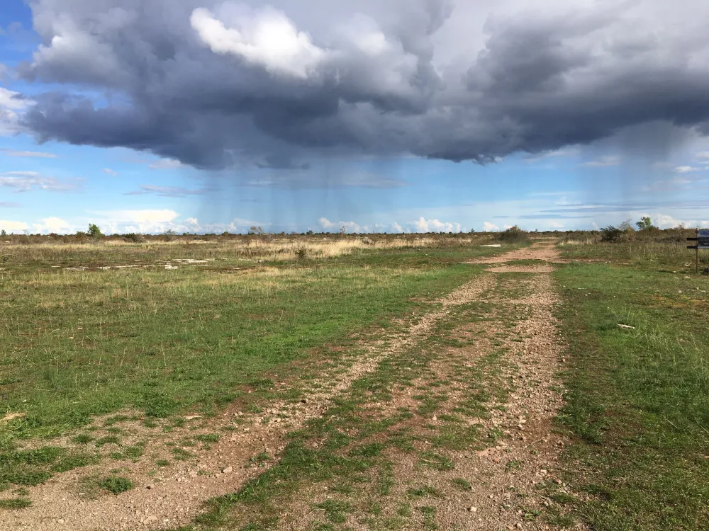 Kulinarischer Spaziergang – Probieren Sie Öland im Weltkulturerbe