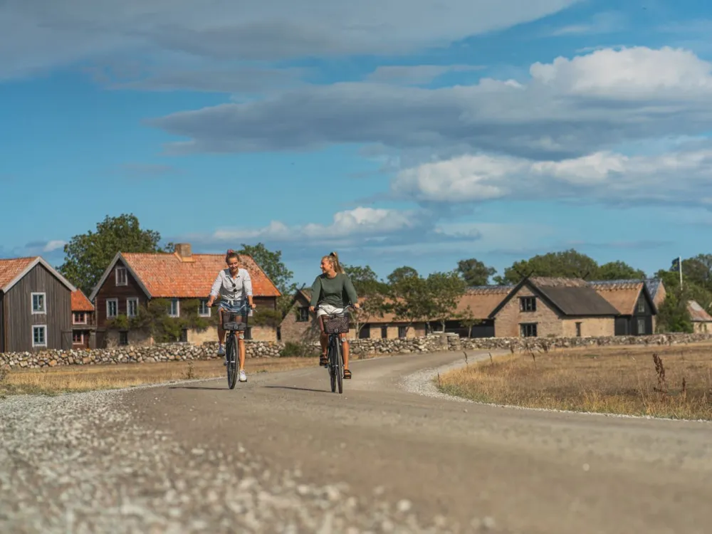 Cykla på Öland