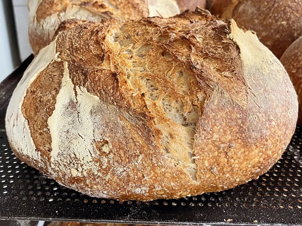 Stone oven bakery Olof