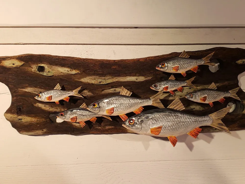 Atelier Fisken