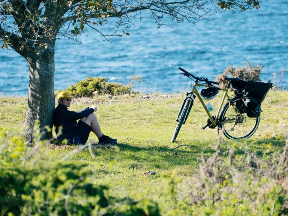 Cykla i världsarvet södra Ölands odlingslandskap
