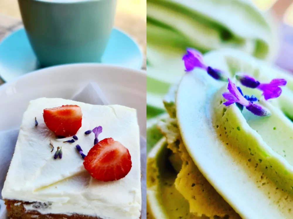 Ellas Gårdscafé på östra öland