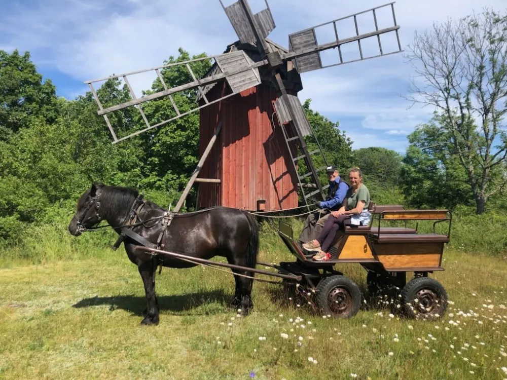 Horse-drawn carriage in Västra Sörby