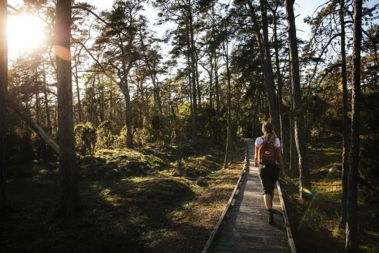 Naturum Trollskogen - Ölands nordöstra udde