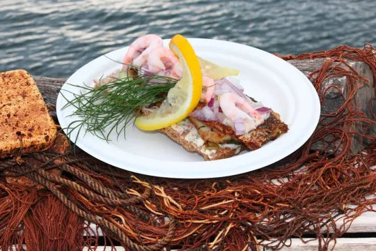Krokens Salat und Fisch