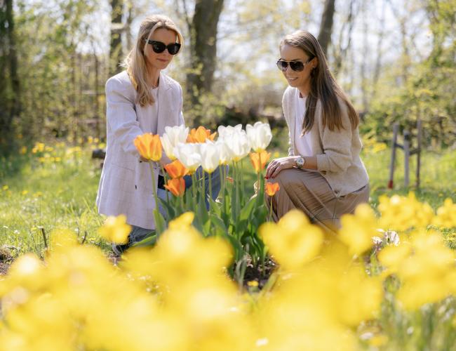 Frühling zwischen den Tulpen in Dyestad