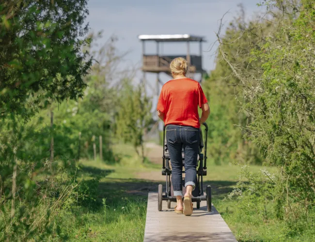 En kvinna i röd tröja går med en barnvagn på en spång vid Beijershamn på Öland.