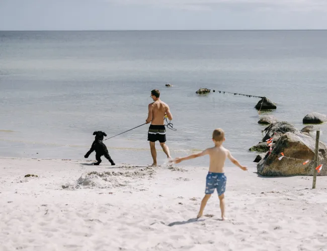 hund på strand med en familj