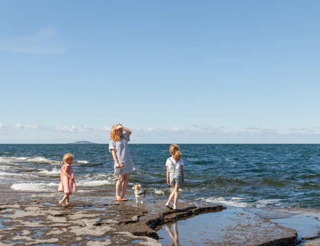 En familj med barn utforskar strandkanten vid havet.