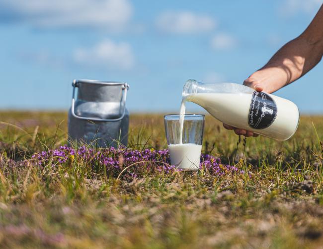 Mjölk hos Bondbönan på Öland