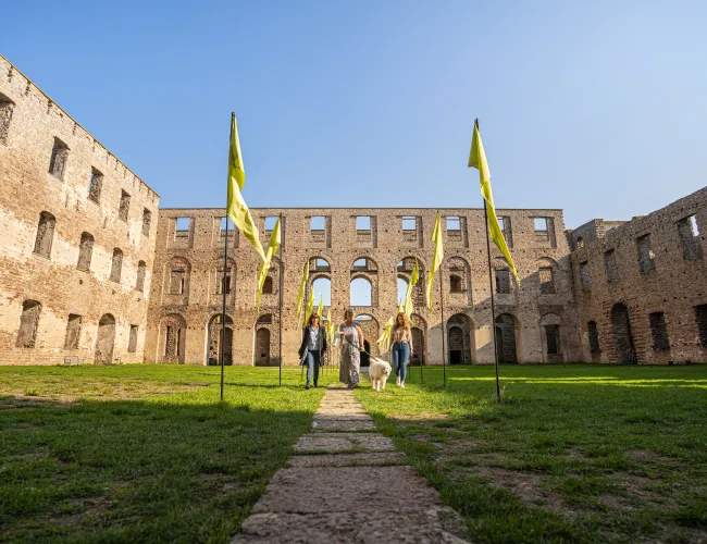 hund i Borgholms slott