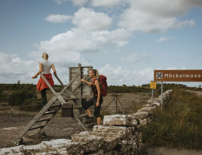 Vandra på alvaret, Möckelmossen