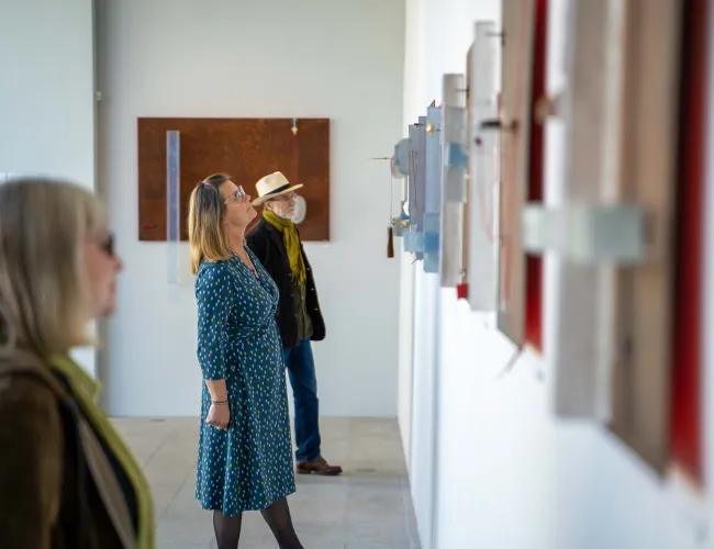 Vida Museum & Art Hall