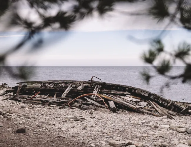 Vraket Swiks i Trollskogen