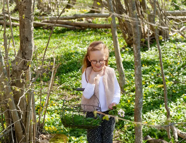 Helena Elm - stora rör - ramslöksskogen