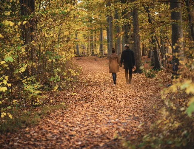 Castle forest in Borgholm on Öland