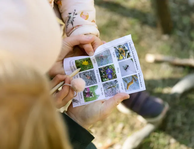 Helena Elm - Utflykt - Trollskogen