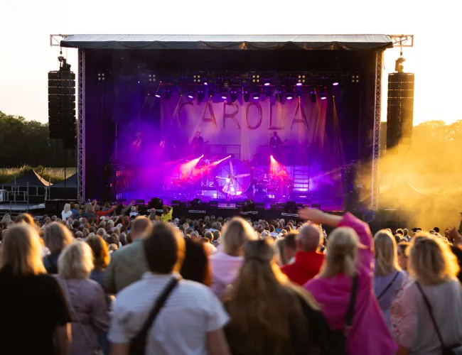 Konsert på Vida Museum 