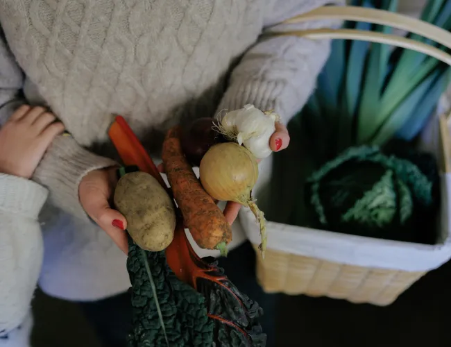 Öländska rotfrukter plockas upp för att läggas i en vacker korg.