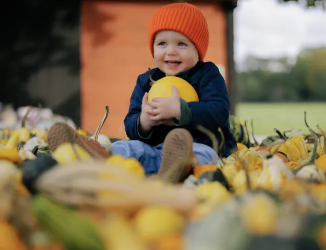 En liten kille med orange mössa sitter i ett fält med pumpor på Öland