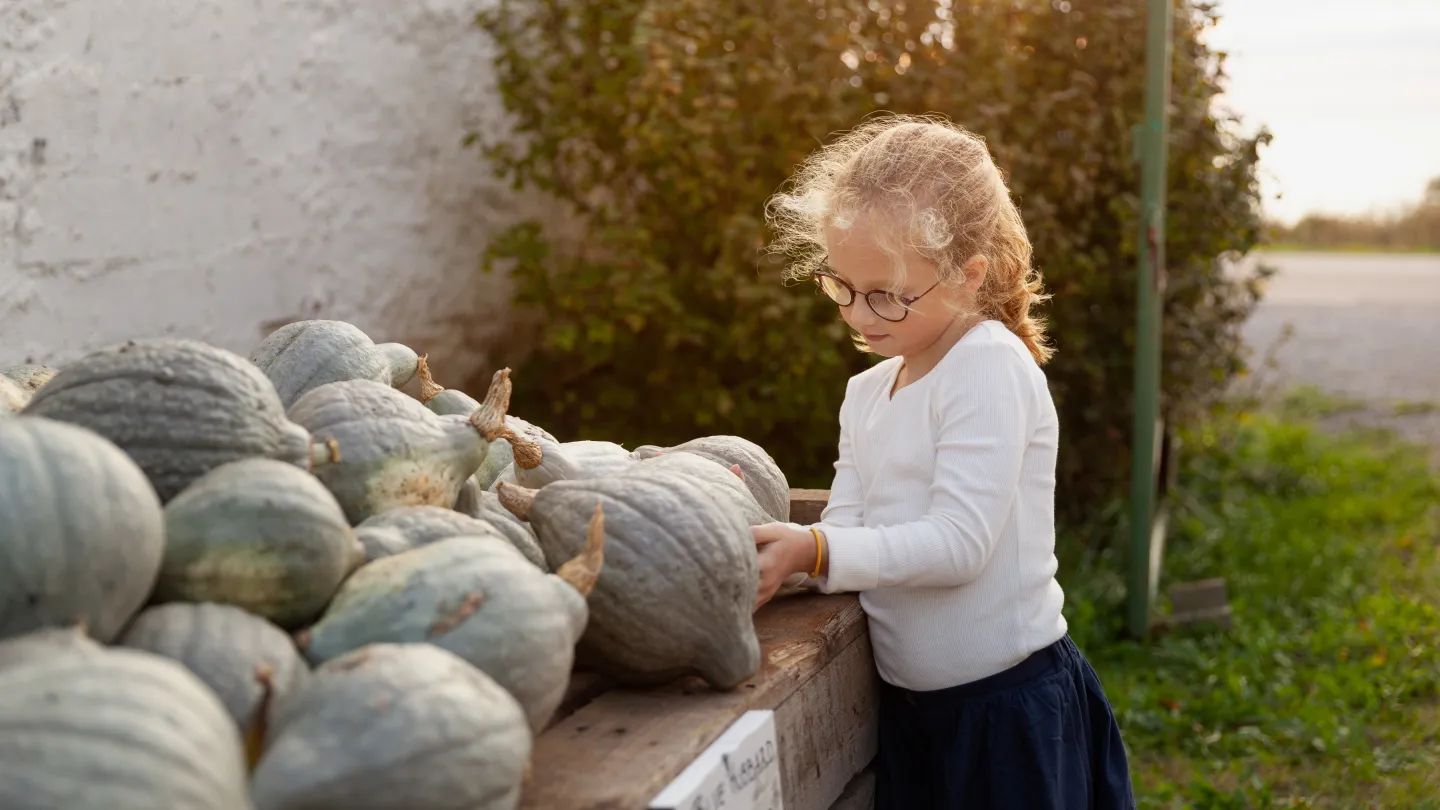 Ett barn tittar på pumpor på ett bord.
