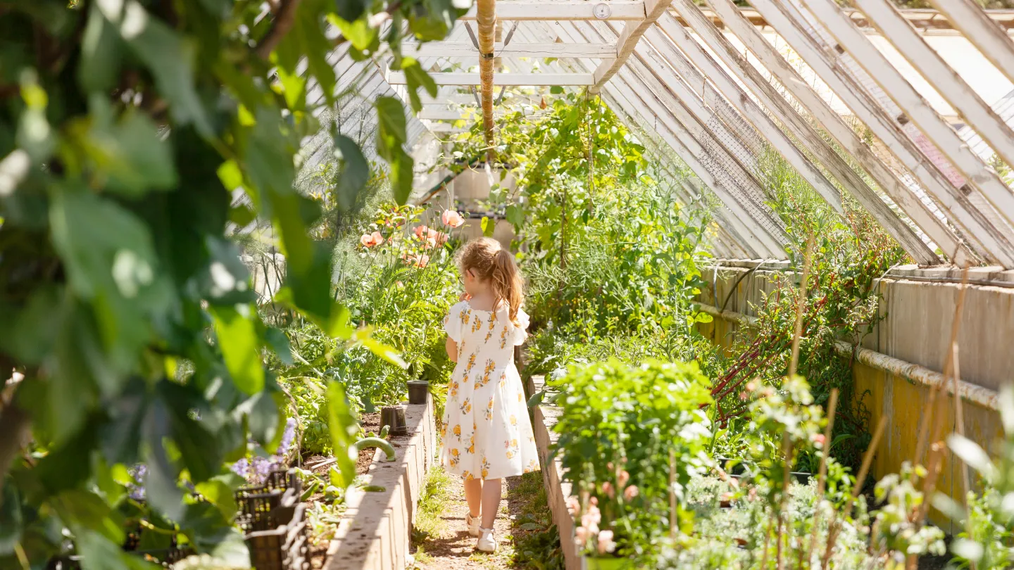 Barn som går i ett växthus 